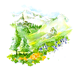 Wedding Invitation Picture